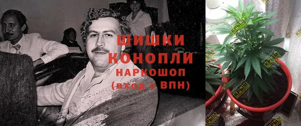 ешки Абаза