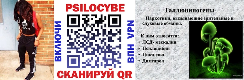 Галлюциногенные грибы прущие грибы  кракен как зайти  Благовещенск 